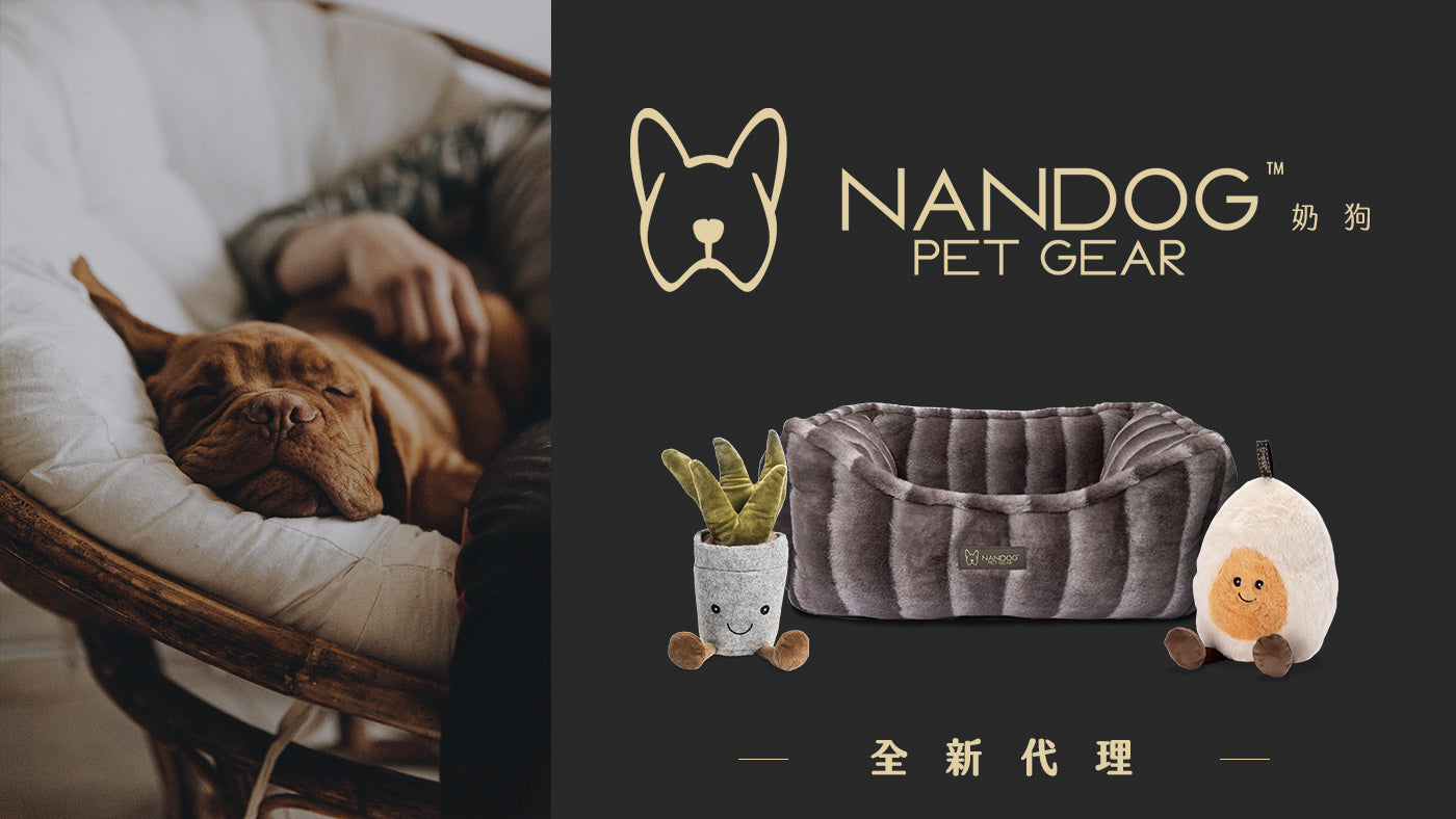 NANDOG 奶狗 來自紐約的時尚寵物用品